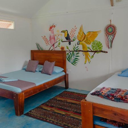 El Zoo Hostel, Bar & Pool パロミノ エクステリア 写真