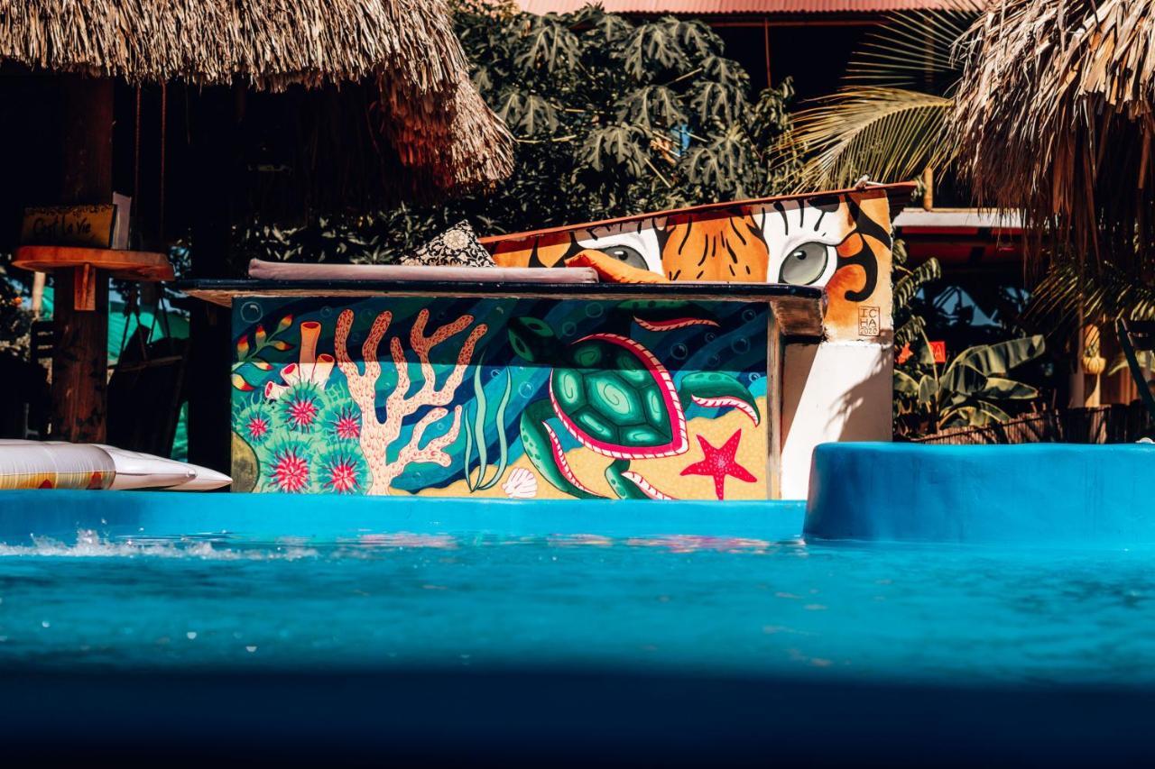 El Zoo Hostel, Bar & Pool パロミノ エクステリア 写真