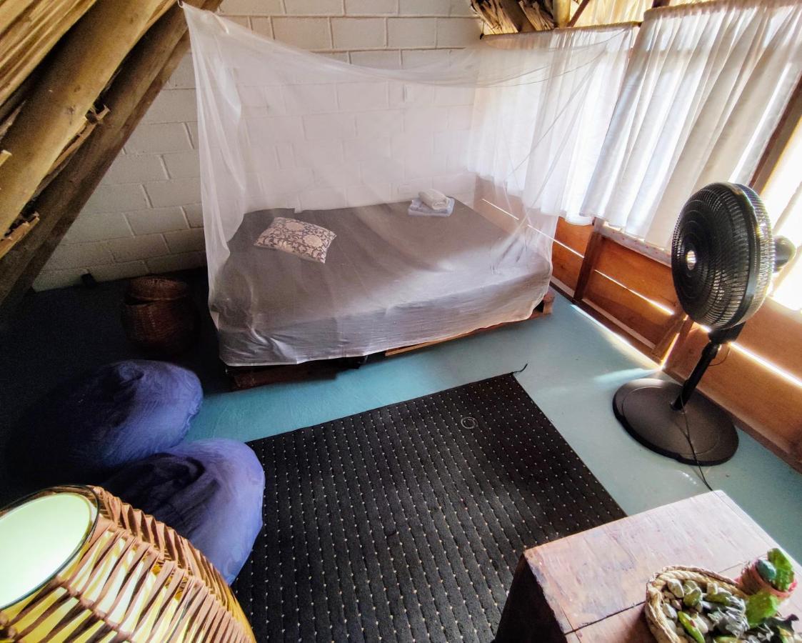 El Zoo Hostel, Bar & Pool パロミノ エクステリア 写真